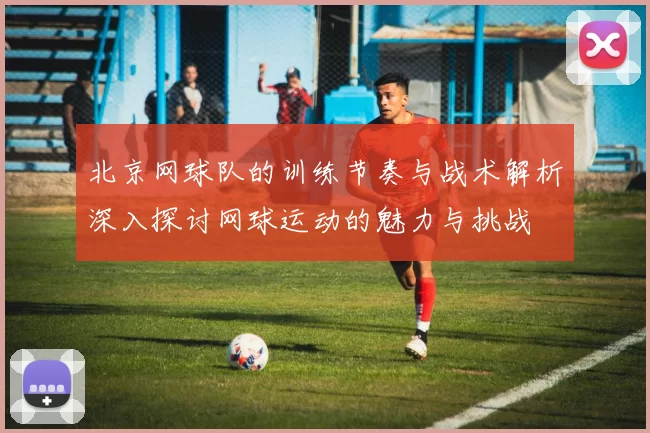 北京网球队的训练节奏与战术解析深入探讨网球运动的魅力与挑战
