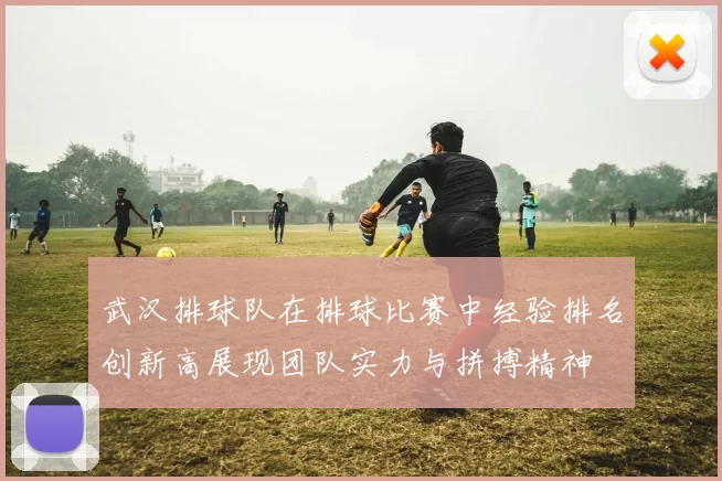 武汉排球队在排球比赛中经验排名创新高展现团队实力与拼搏精神
