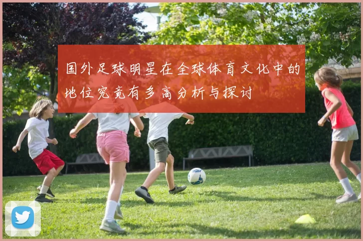 国外足球明星在全球体育文化中的地位究竟有多高分析与探讨