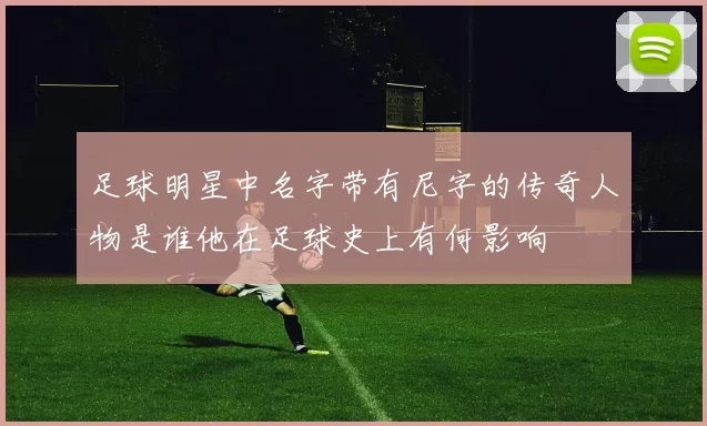 足球明星中名字带有尼字的传奇人物是谁他在足球史上有何影响
