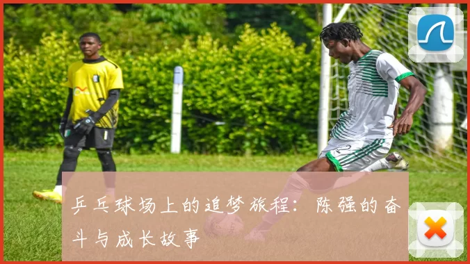 乒乓球场上的追梦旅程：陈强的奋斗与成长故事