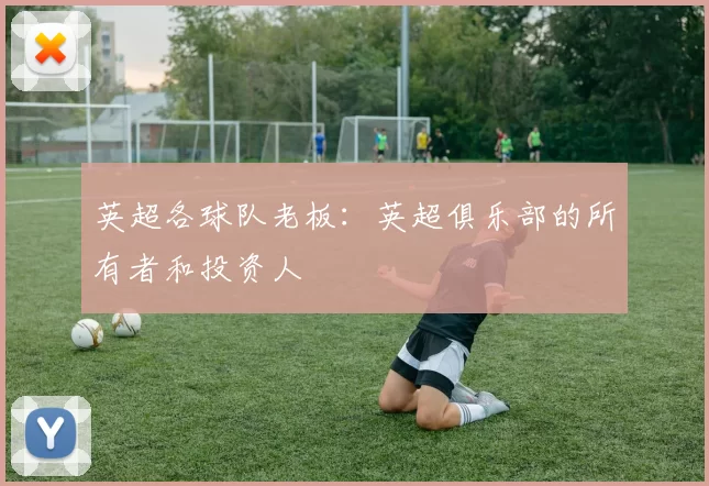 英超各球队老板：英超俱乐部的所有者和投资人