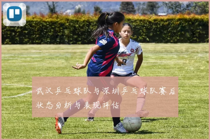 武汉乒乓球队与深圳乒乓球队赛后状态分析与表现评估