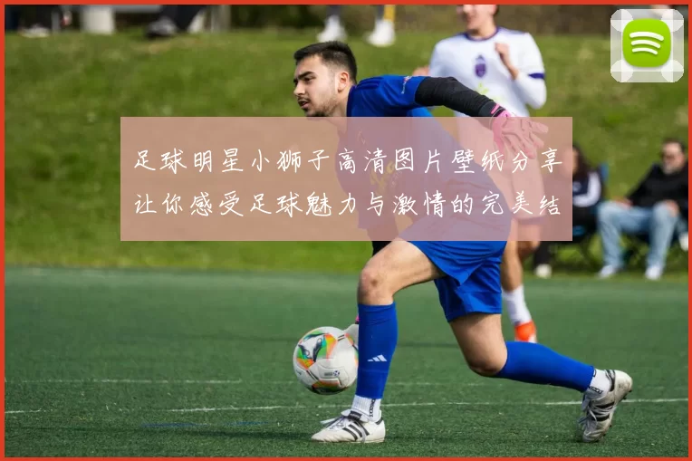 足球明星小狮子高清图片壁纸分享让你感受足球魅力与激情的完美结合