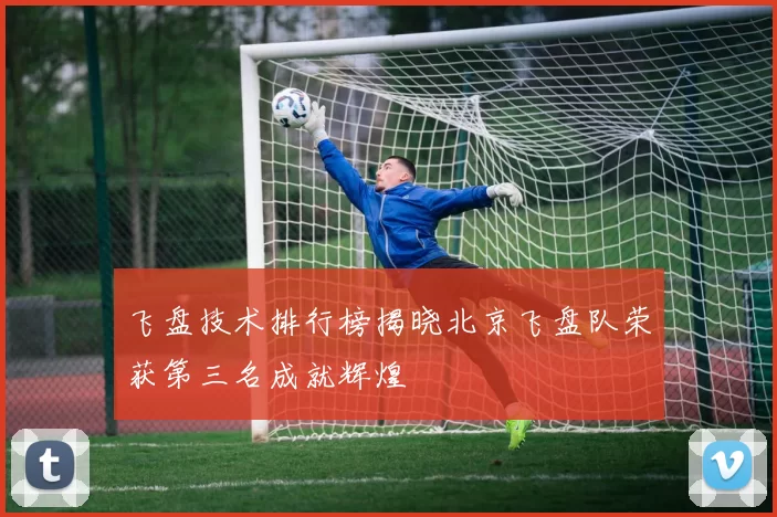 飞盘技术排行榜揭晓北京飞盘队荣获第三名成就辉煌