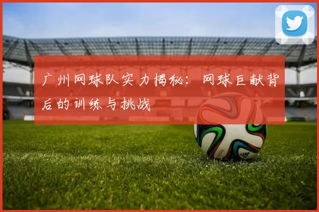 广州网球队实力揭秘：网球巨献背后的训练与挑战