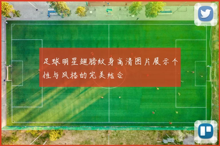 足球明星翅膀纹身高清图片展示个性与风格的完美结合