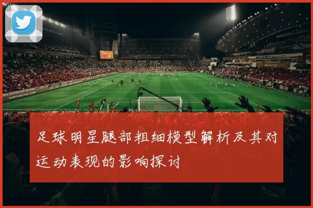 足球明星腿部粗细模型解析及其对运动表现的影响探讨
