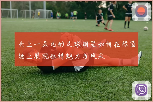头上一朵毛的足球明星如何在绿茵场上展现独特魅力与风采