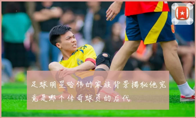 足球明星哈伟的家族背景揭秘他究竟是哪个传奇球员的后代
