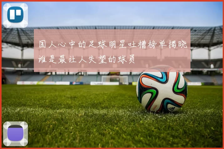 国人心中的足球明星吐槽榜单揭晓谁是最让人失望的球员