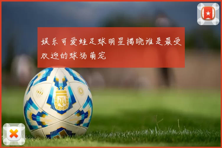娱乐可爱蛙足球明星揭晓谁是最受欢迎的球场萌宠