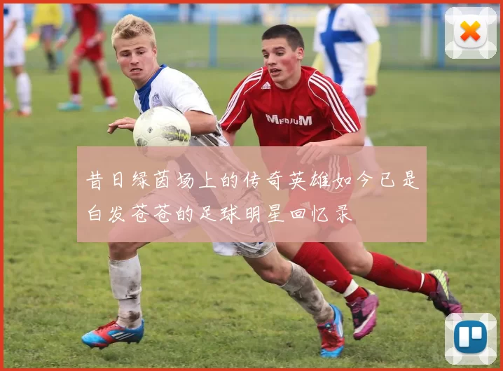 昔日绿茵场上的传奇英雄如今已是白发苍苍的足球明星回忆录