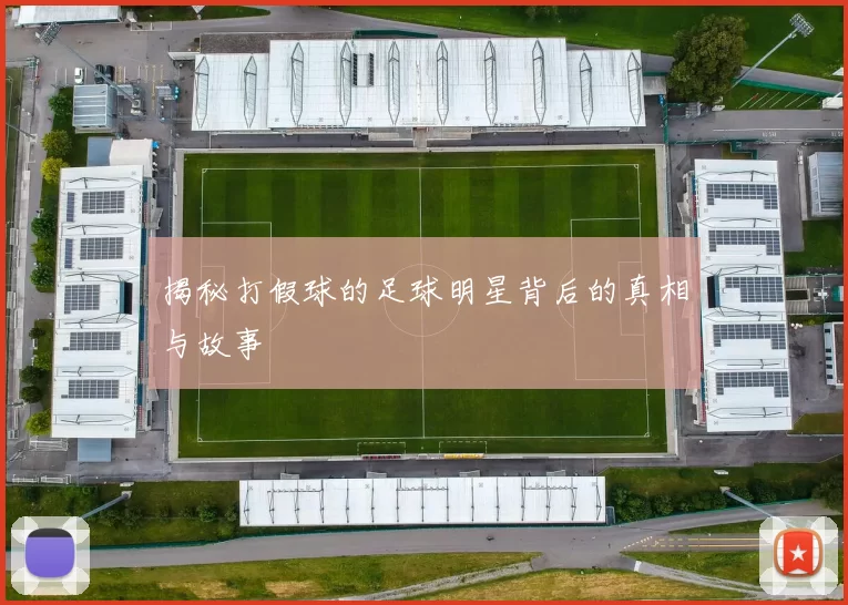 揭秘打假球的足球明星背后的真相与故事